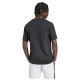 M PENNANT T